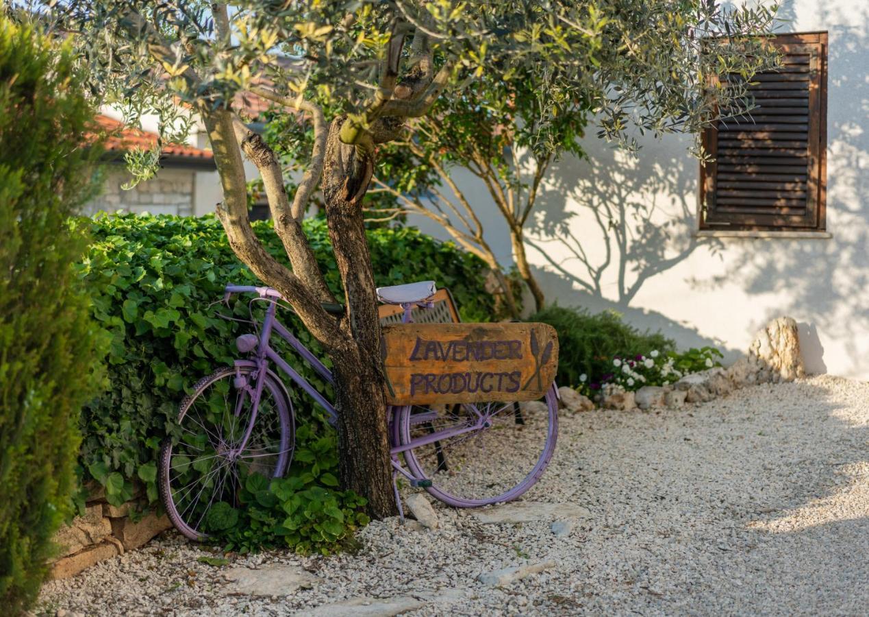 Lavanda Apartments & Room Sveti Lovreč Pazenatički 외부 사진